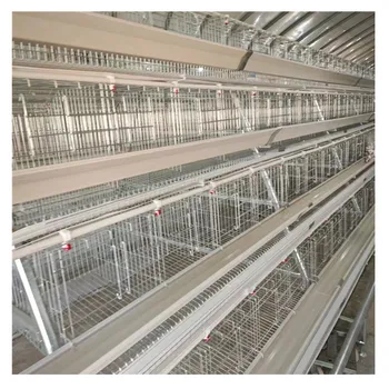 Poultry Farming Equipment Manufacturers Supply A Type Battery Layer Chicken Cages