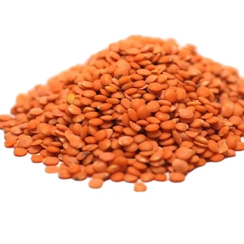 major red lentils organic lentils for sale at low price