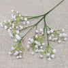 55082 blanco