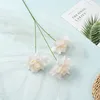 rose tendre