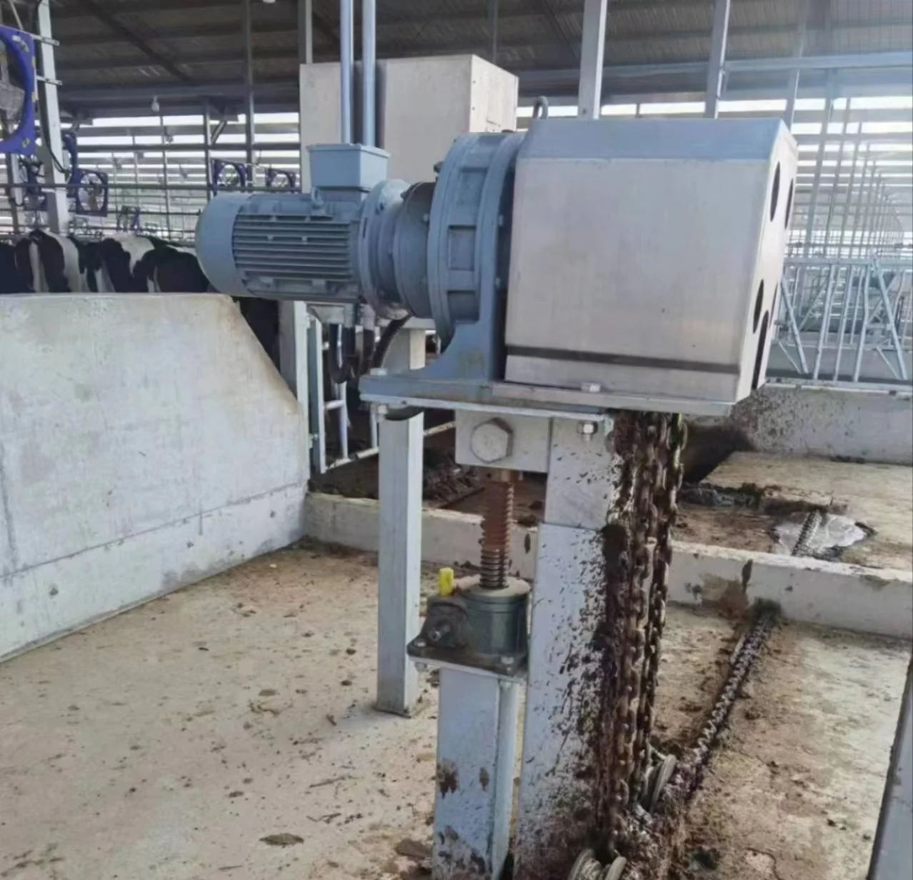 Cow Dung Cleaning Robot Fully Automatic