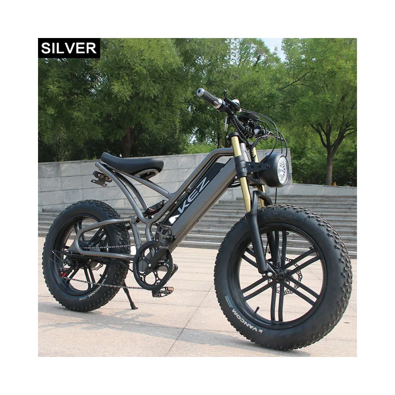 China AKEZ FISH HAWK 20 Inch 48V Comfort Mountain Electric Bike