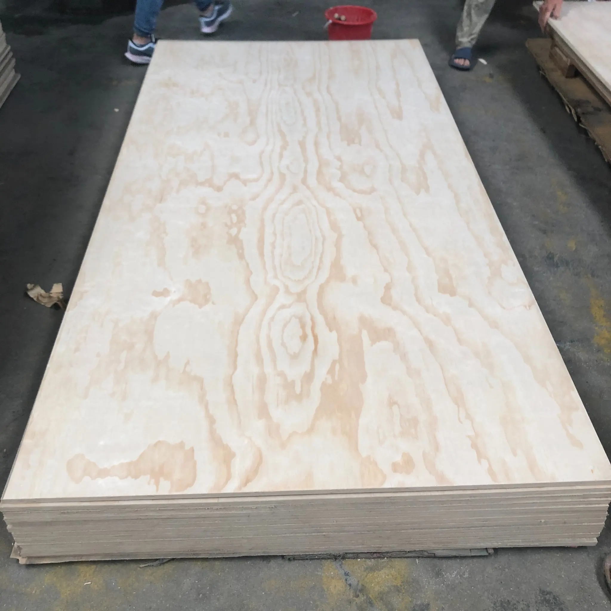 1 2 Cdx Plywood Menards 07 - tqjuo5x