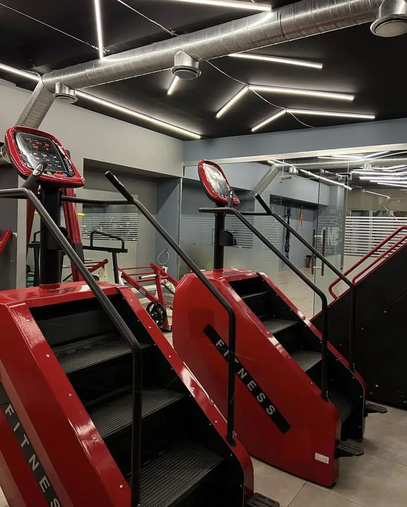 階段マスター垂直カーディオエクササイズステッパーASJ-9318ジム