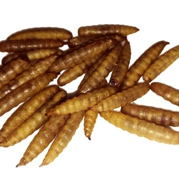 Dry Food Dried Black Soldier Fly Larvae High Calcium Worms For Chickens ...