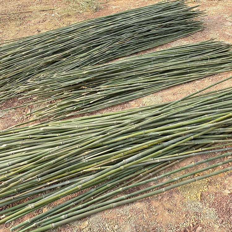 Китайская фабрика, прямые продажи прочных бамбуковых рыболовных удочек длиной 3 м, бамбуковая удочка для изготовления забора