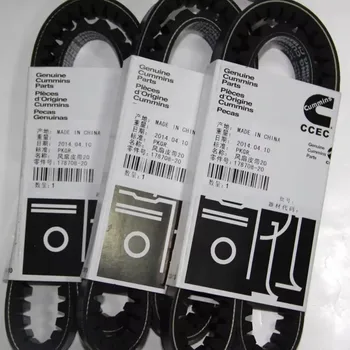 Promotion 3003343 3003341 3288757 3251034 5412996 Ksd Water Pump Belt