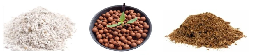 Dutch Bucket Tomato hydroponics System