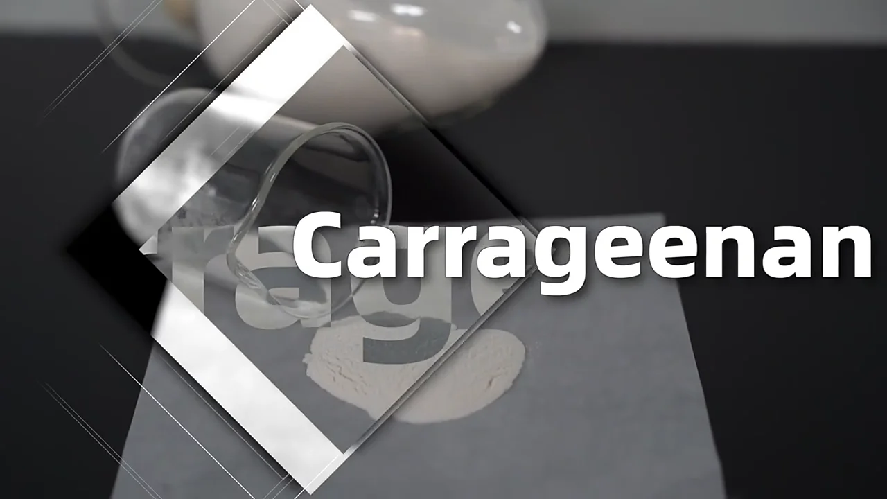 Hot Selling Carrageenan Food Thickeners E407 9000071 Kappa Refined