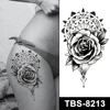 TBS-8213