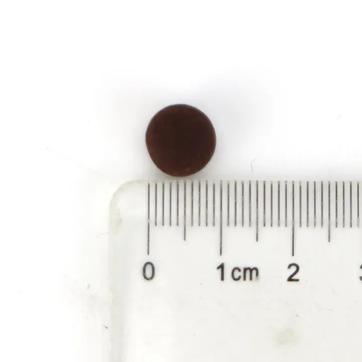 choco truffle