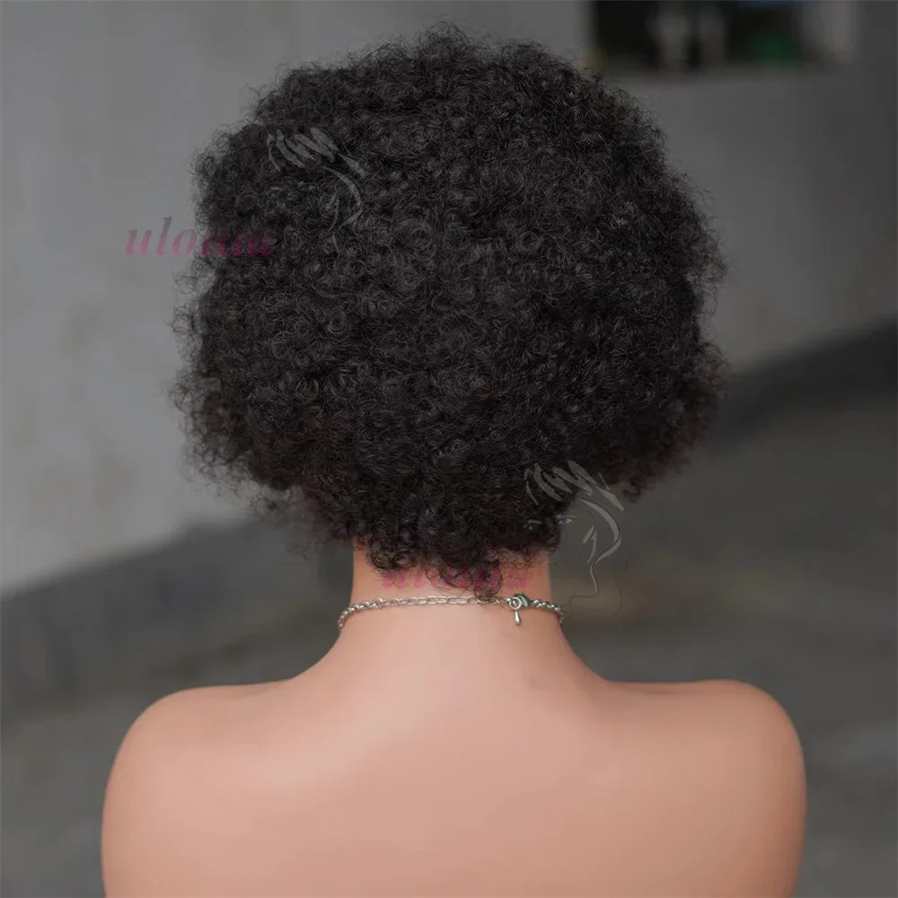 13x4 Lace Frontal Afro Krøllet Paryk 100% Brasiliansk Remy Hår 6 Ombre Highlights Bouncy Krøllet Paryk Ægte Hår Parykker med Fletninger_voghion.com