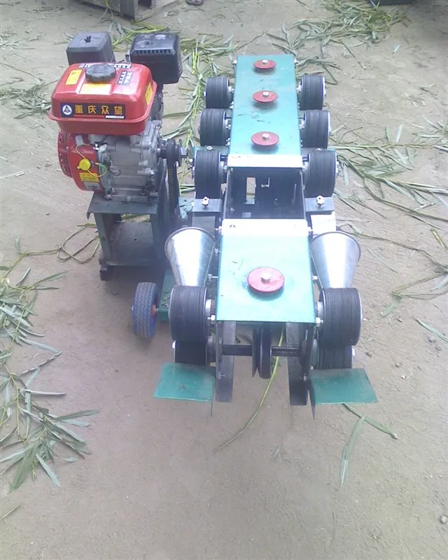 Professional Machine Willow Bark