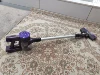 Viola
