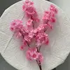 Dark Pink