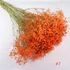 naranja, altura de unos 75 cm