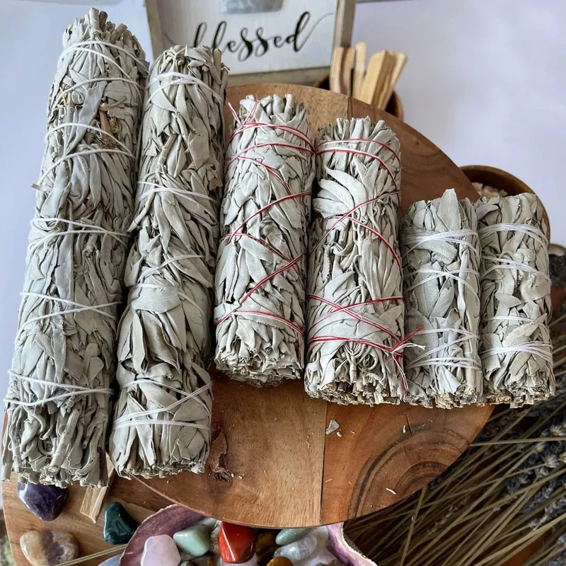sage (9).jpg