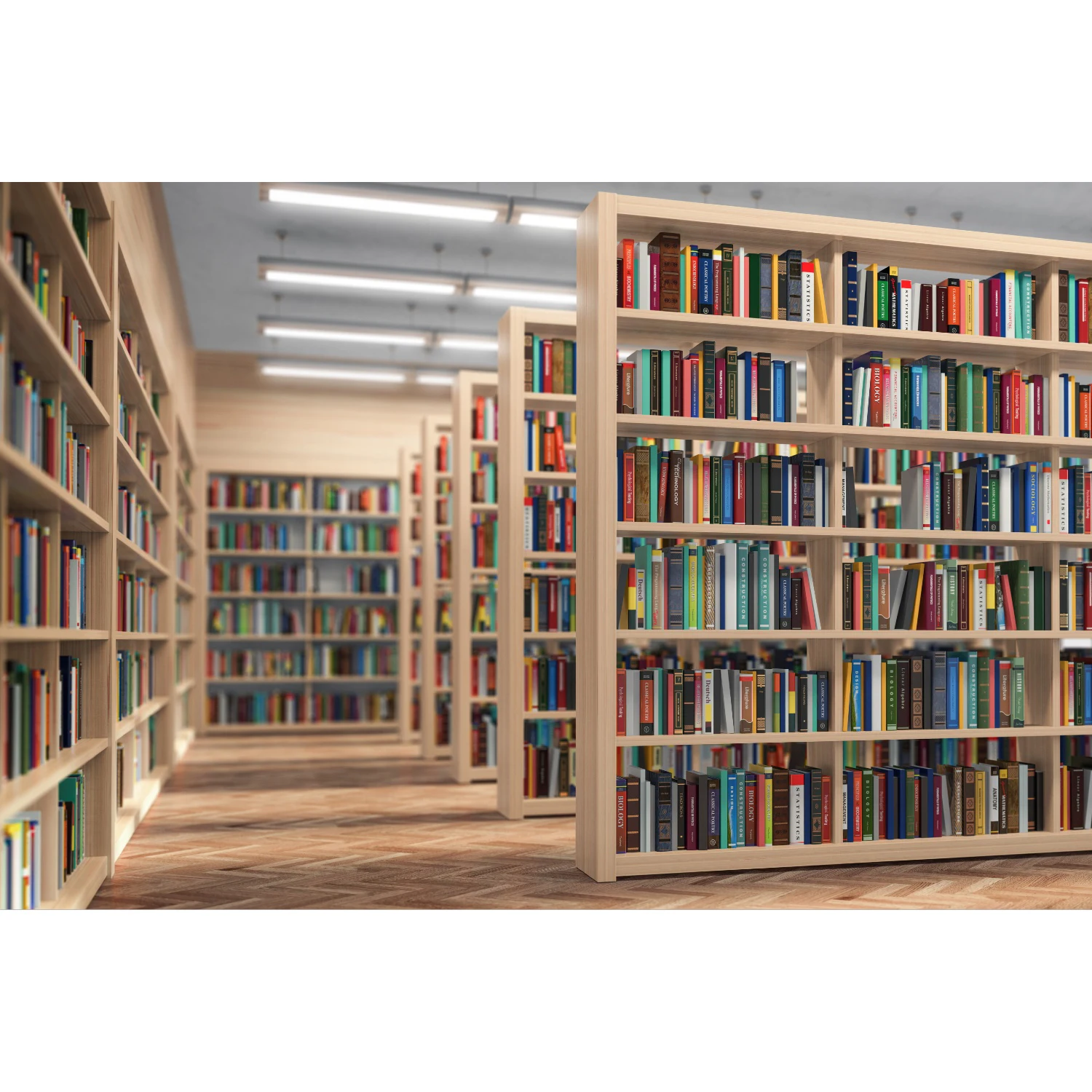 Modern Minimalist Design  Customized Book Display Furniture Cabinet Wooden Bookcase  Bookshelf