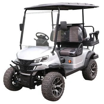 new design buggy car Electric 2 Seater 4-seater lifted electric golf cart cheap 4 seats car price 4 wheel For Sale