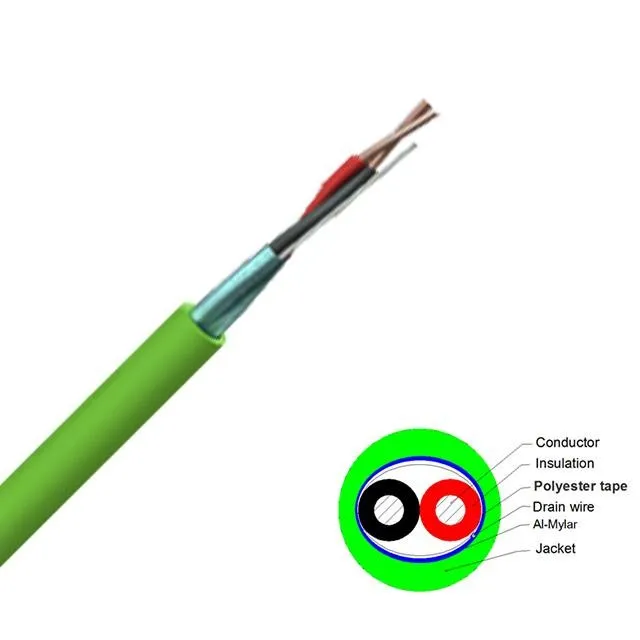 goldfruchtpalme winterhart Große tierfreundliche Goldfruchtpalme – Green Me Up main image 1