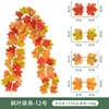 Vigne d'érable - Non. 12