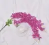 Viola intenso