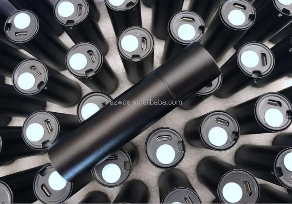 UV Wood's Lamp USB Rechargeable UV Flashlight Pet Skin Ringworm Fungal Diagnosis Skin Analyzer