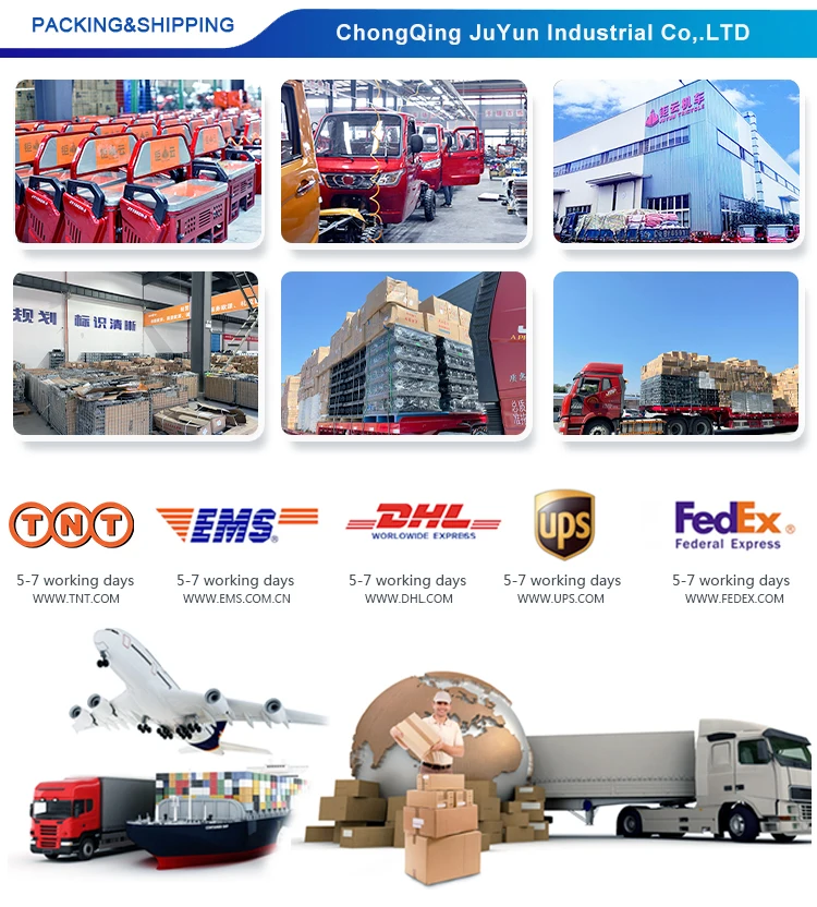 Eec Factory Adults 250cc 300cc 3 Wheel Enclosed Petrol Gas Engine Cargo