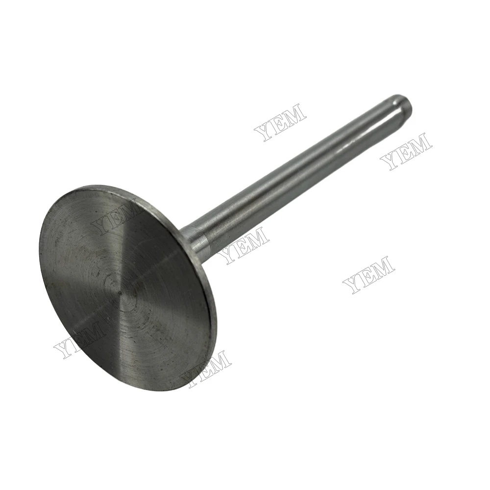 Intake Valve Fit for Yangdong Y4102D Engine 4