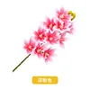 10 orquídeas Cymbidium, rosa intenso