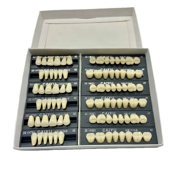 Hot Selling Dental Material Synthetic Resin Teeth  T6  A1/2/3 ACRYLIC RESIN TEETH With 3sets/box