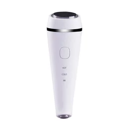 Face Steamer