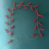 2 m de largo, 26 frutos