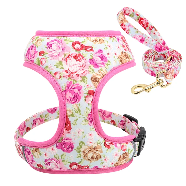 OEM Wholesale Pet Accessories Adjustable Walking Lead Soft Dog Harness And Leash Set factory