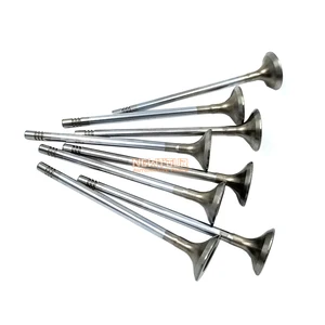 1016051160 Auto Parts Car Spare Intake and Exhaust Valves for Geely GC6 High Performance & Durability Valve