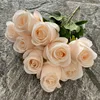 Champagne rosa
