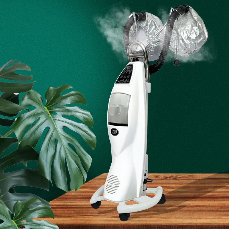 High Quality O3 Ozone Micro Mist Hair Steamer Secador De Pelo Enzo Spray Spa Treatment Hairdressing Salon With Great Price