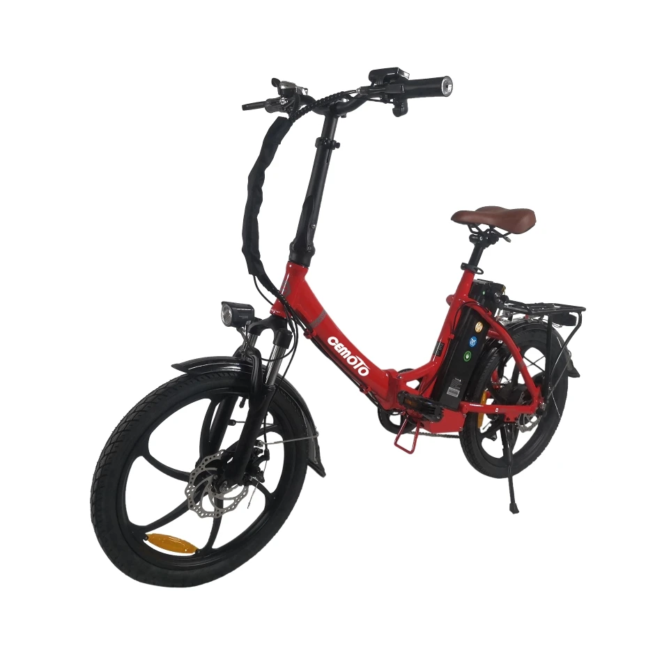 Cheap Beautiful Electric Bicycle 48v 250w 350w Removable Liion Battery