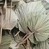 Bolsa de flores secas-Hoja del ventilador en forma de corazón (35*65)