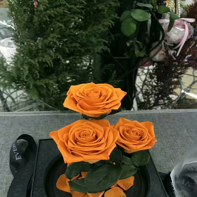 Beautiful A Grade Real Touch Preserved Rose Head 56 Cm Rose Bud 6