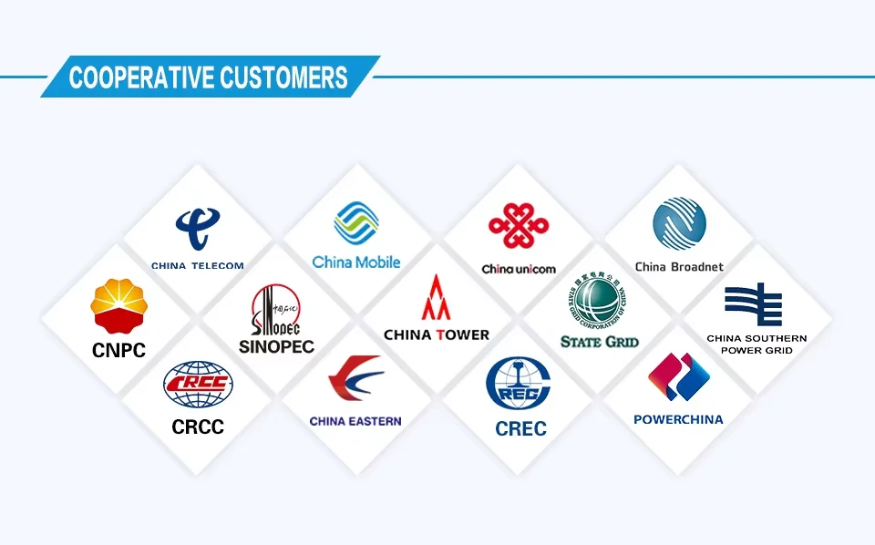 Cooperative Partner