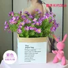 Nouveau sac de câlin anglais à 5 paquets de camomille violette