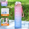 Colorful Medium Cup - Gradient Pink [900ml]