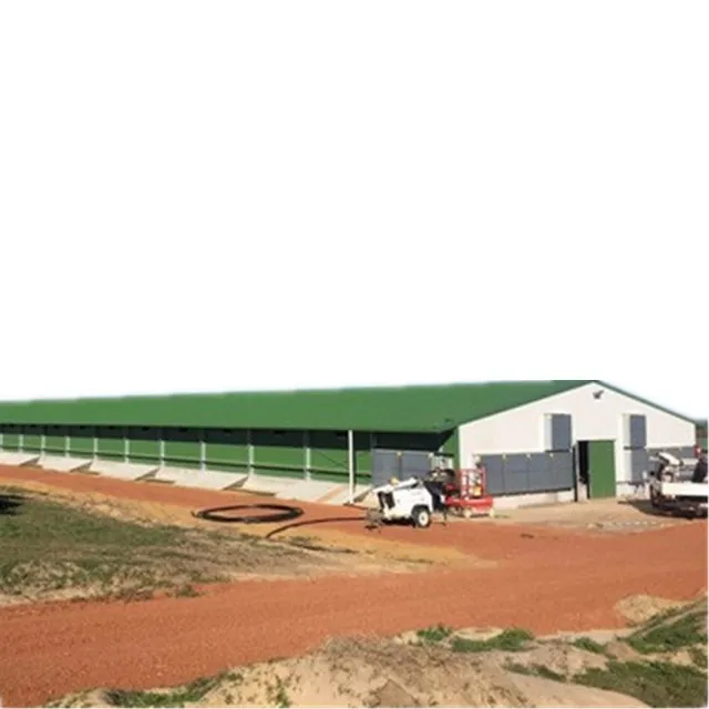 1200 M2 Large Span Prefab Steel Structure Poultry Farm Shed for Broiler Fatten Chicken Poultry House