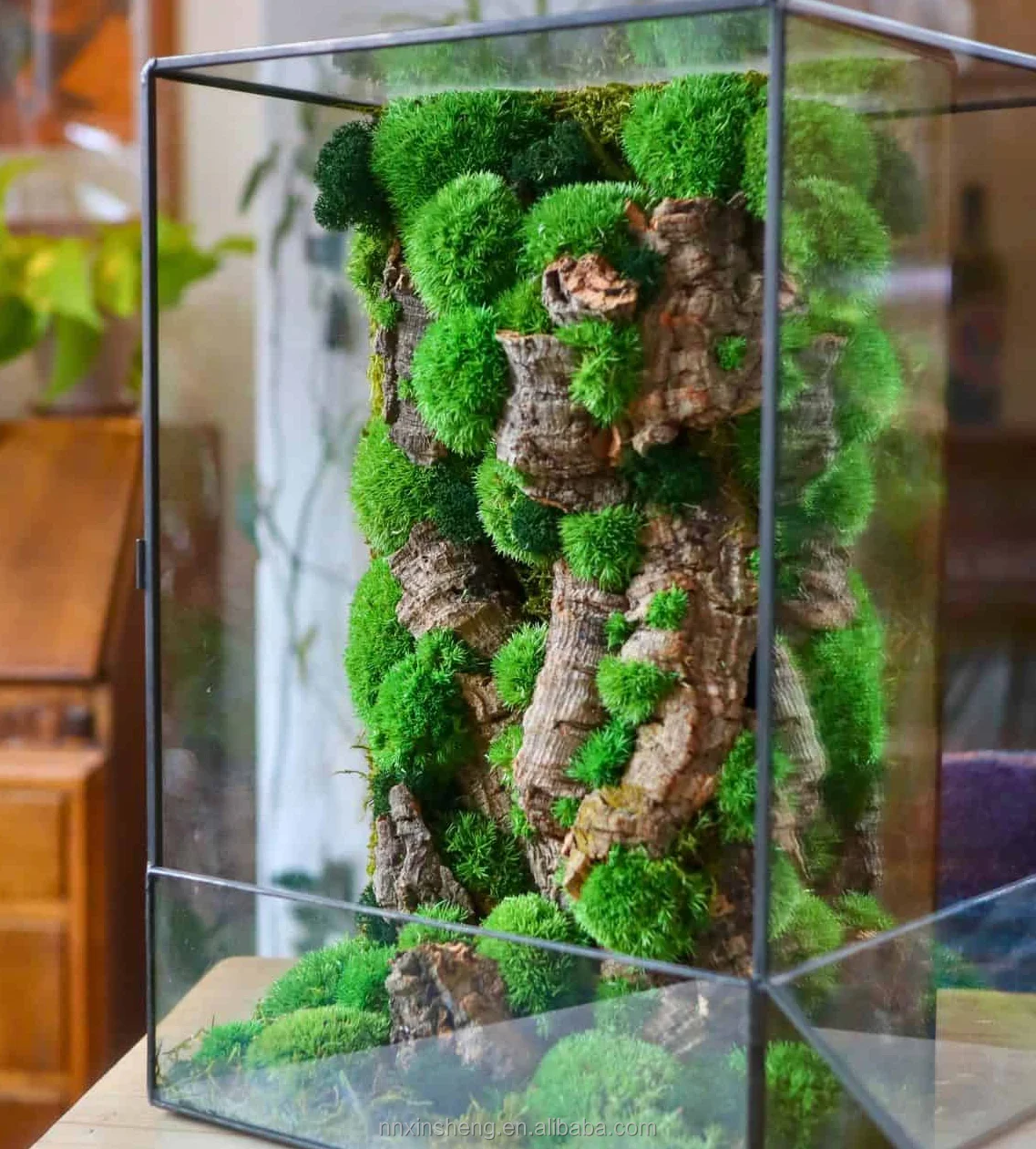 Custom Real Live Green Moss Stabilized Table Decorative Indoor Plants  Terrarium Glass Preserved Moss for Sale