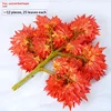 feuille d'érable rouge