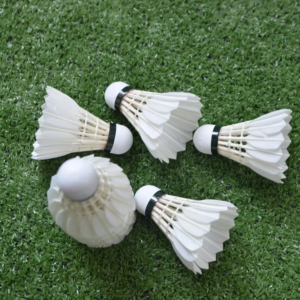Badminton Aeroplane Shuttlecock Eg1130 Badminton Shuttlecock Lingmei 80