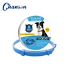 Blue Dog