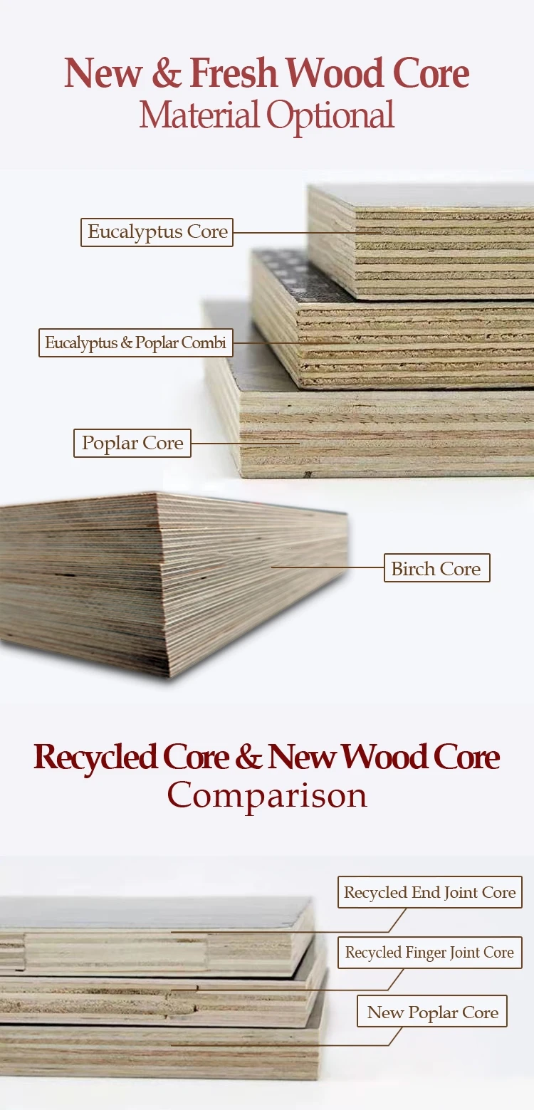 Construction Wood Formwork 1220*2440mm Finger Joint Core Birch Firm