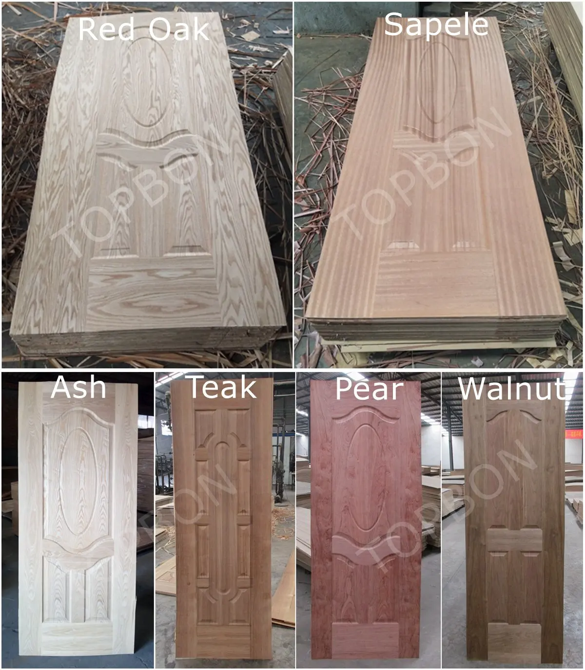 veneer door skin photo.jpg